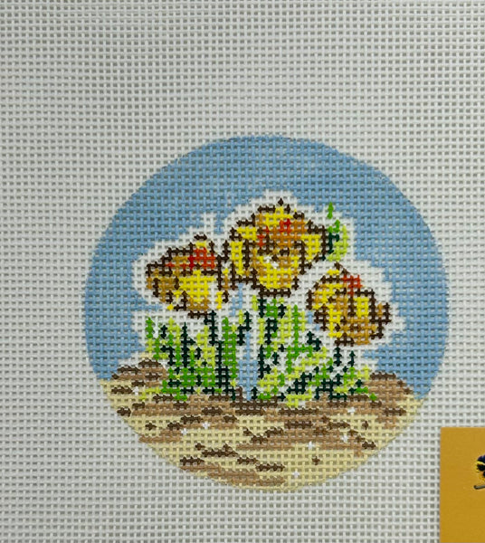 Daffodil Round