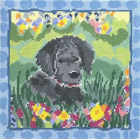 Cooper Oaks Trunk Show March 2025 Group 3 of 8