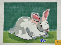 Roger (Bunny)