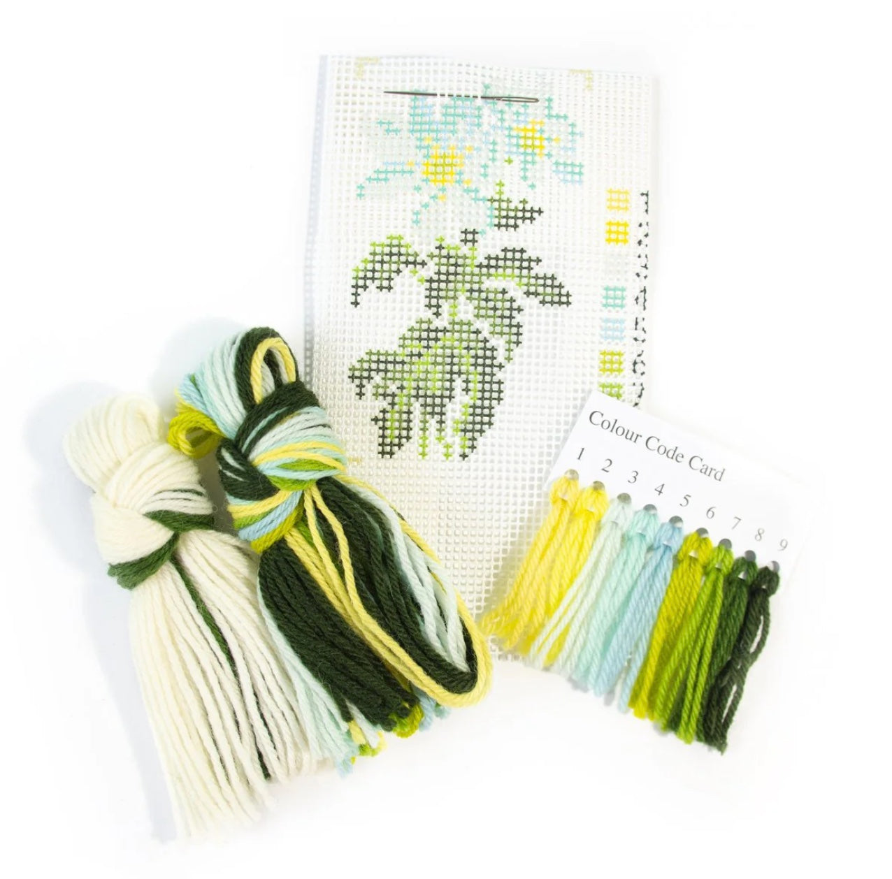 Elizabeth Bradley Anemone Starter Kit