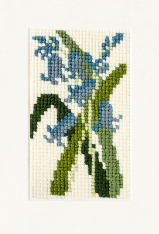 Elizabeth Bradley Bluebell Starter Kit