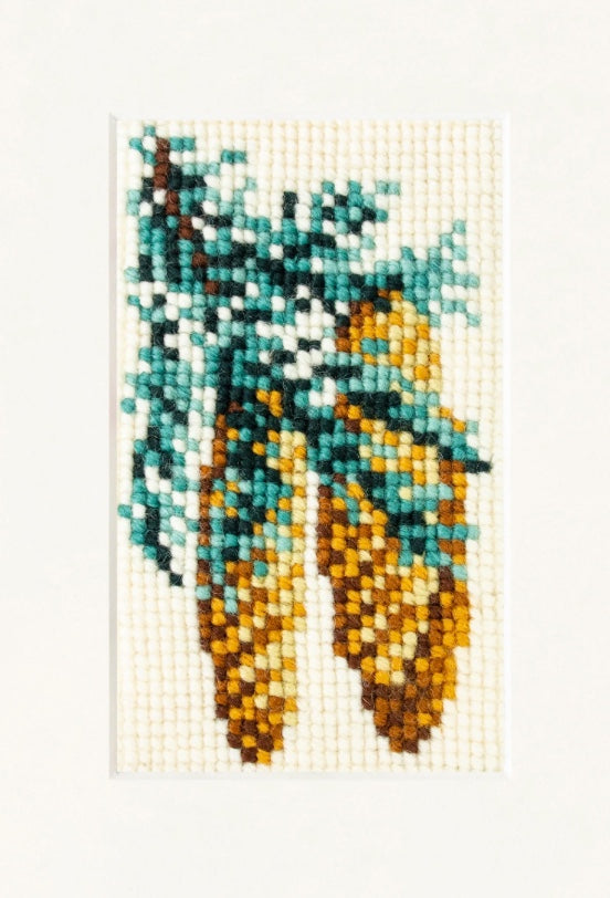 Elizabeth Bradley Fir Cone Starter Kit