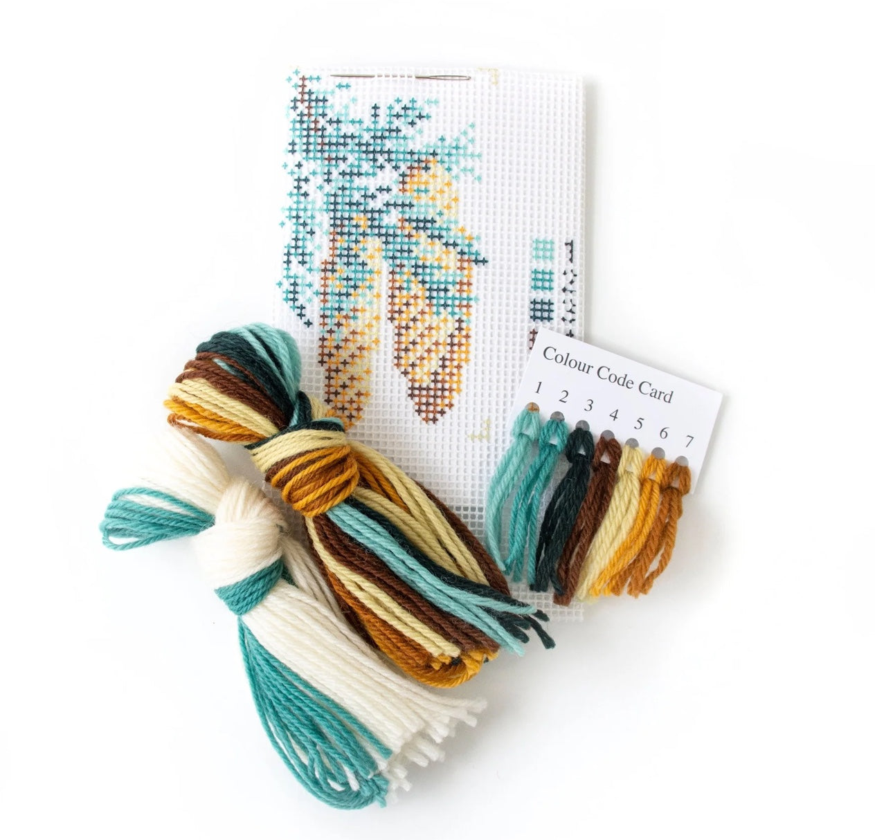 Elizabeth Bradley Fir Cone Starter Kit