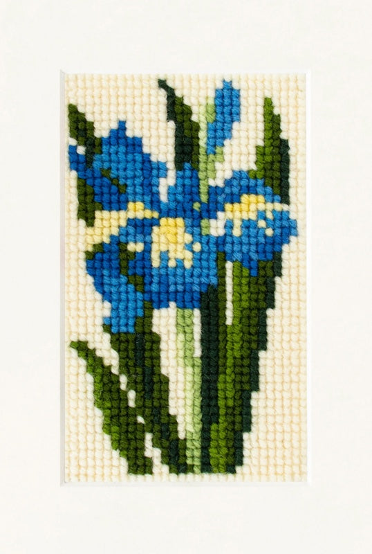 Elizabeth Bradley Iris Starter Kit