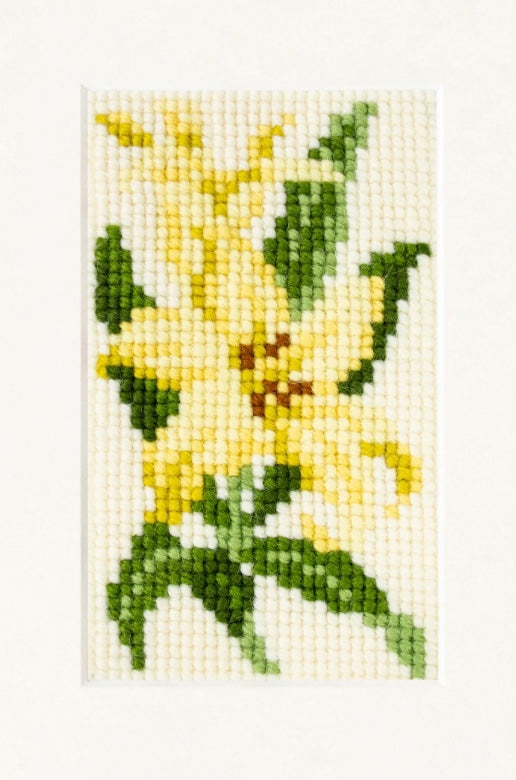 Elizabeth Bradley Lily Starter Kit