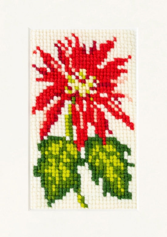 Elizabeth Bradley Poinsettia Starter Kit