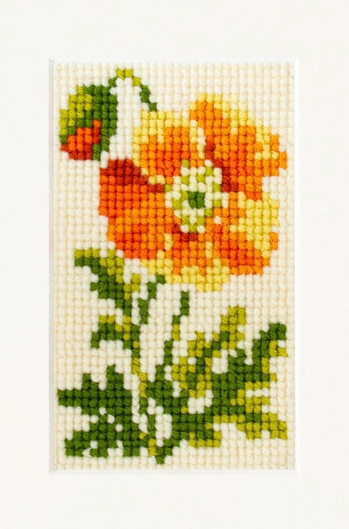 Elizabeth Bradley Poppy Starter Kit