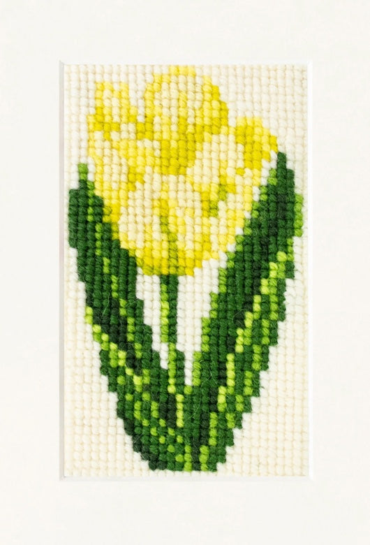 Elizabeth Bradley Tulip Starter Kit