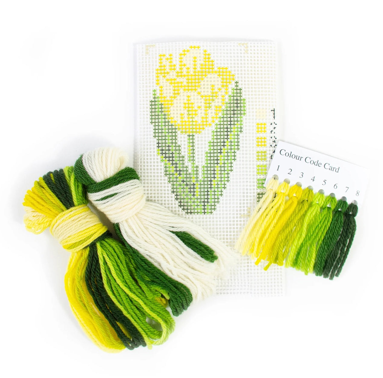 Elizabeth Bradley Tulip Starter Kit