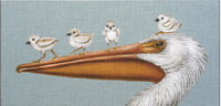 Flight School
