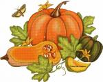 Pumpkins & Squash