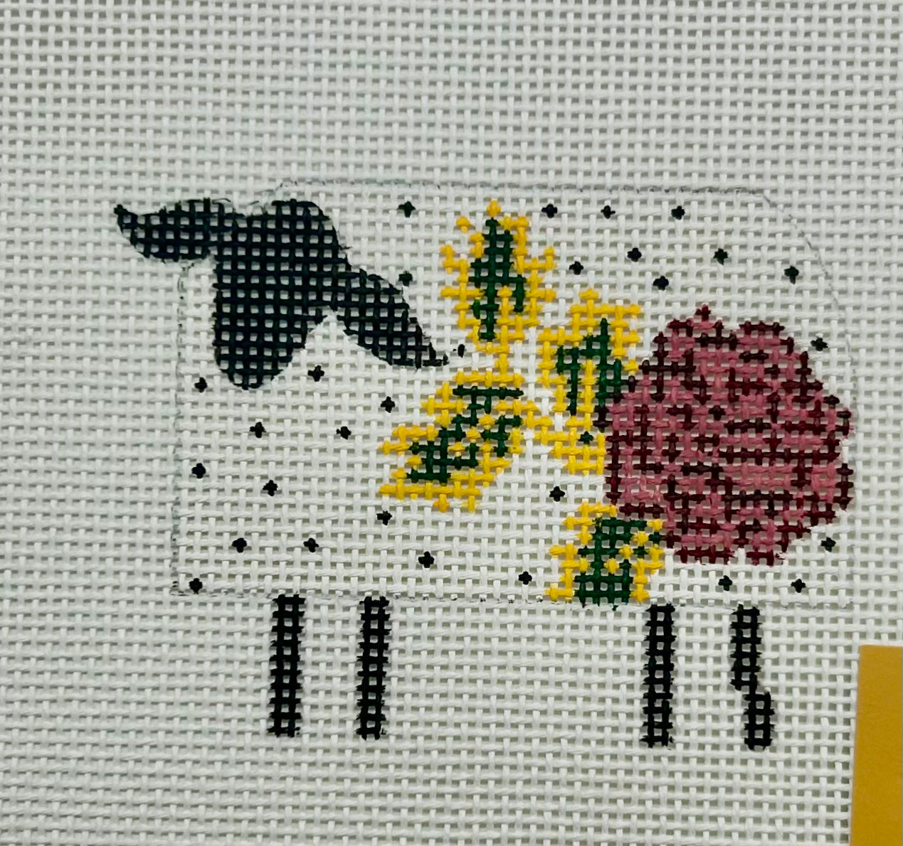 Cooper Oaks Sheep*
