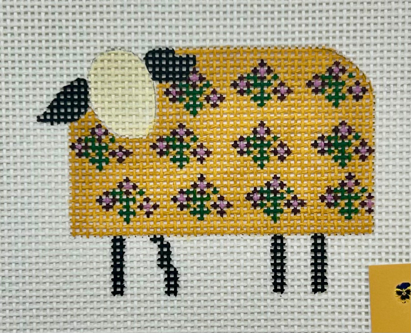 Cooper Oaks Sheep*