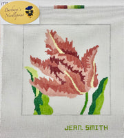 Coral Parrot Tulip