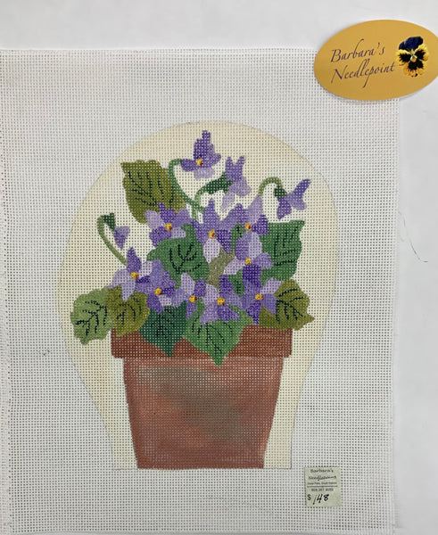 Pot of Violet Flowers