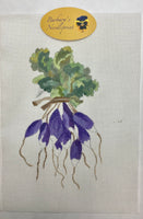 Veggies - Purple Radish