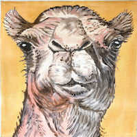 Camel by Meredith Collection